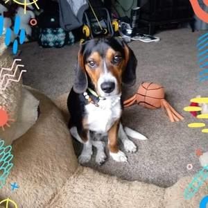 Meet your Posher, Sheri